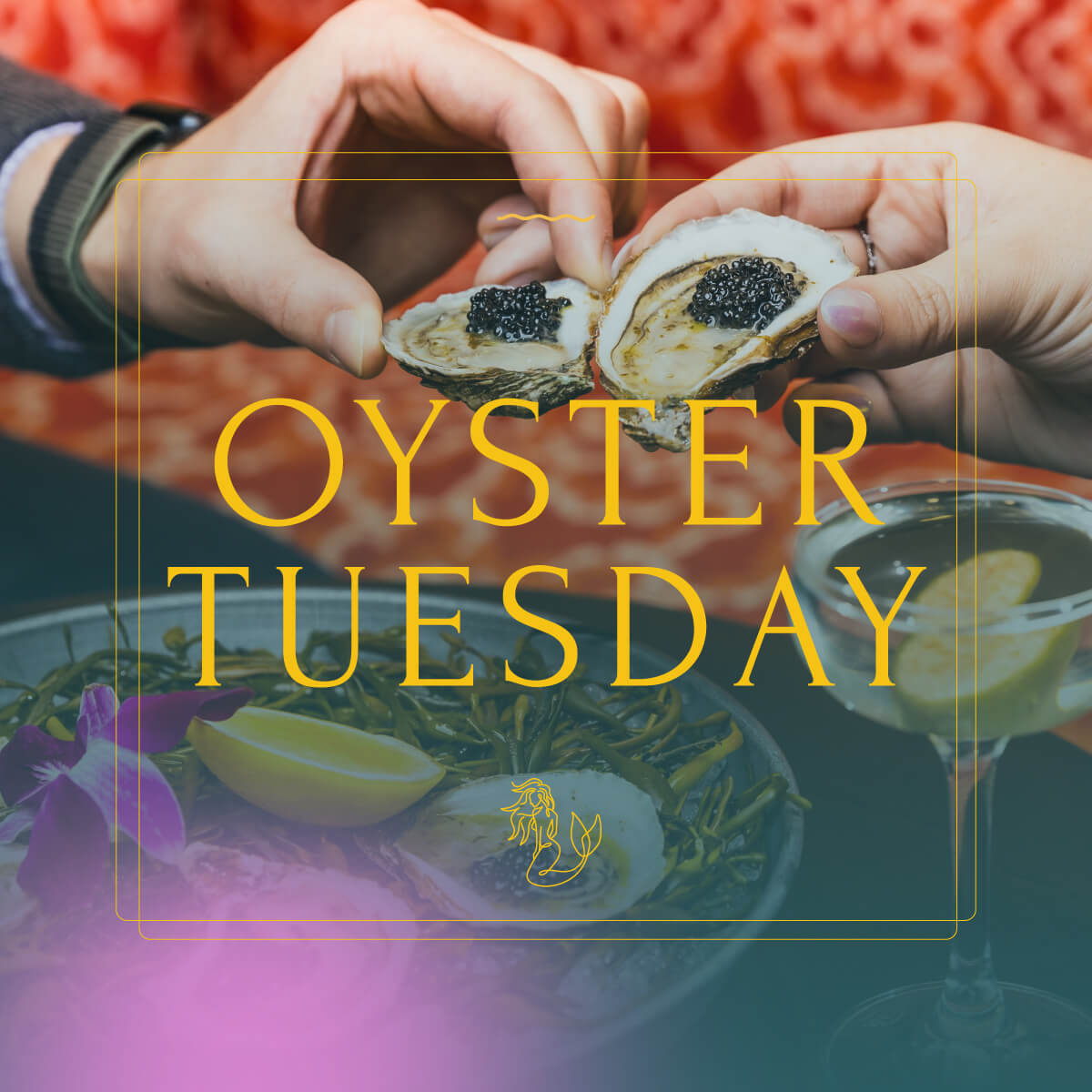 Oyster Tuesday
