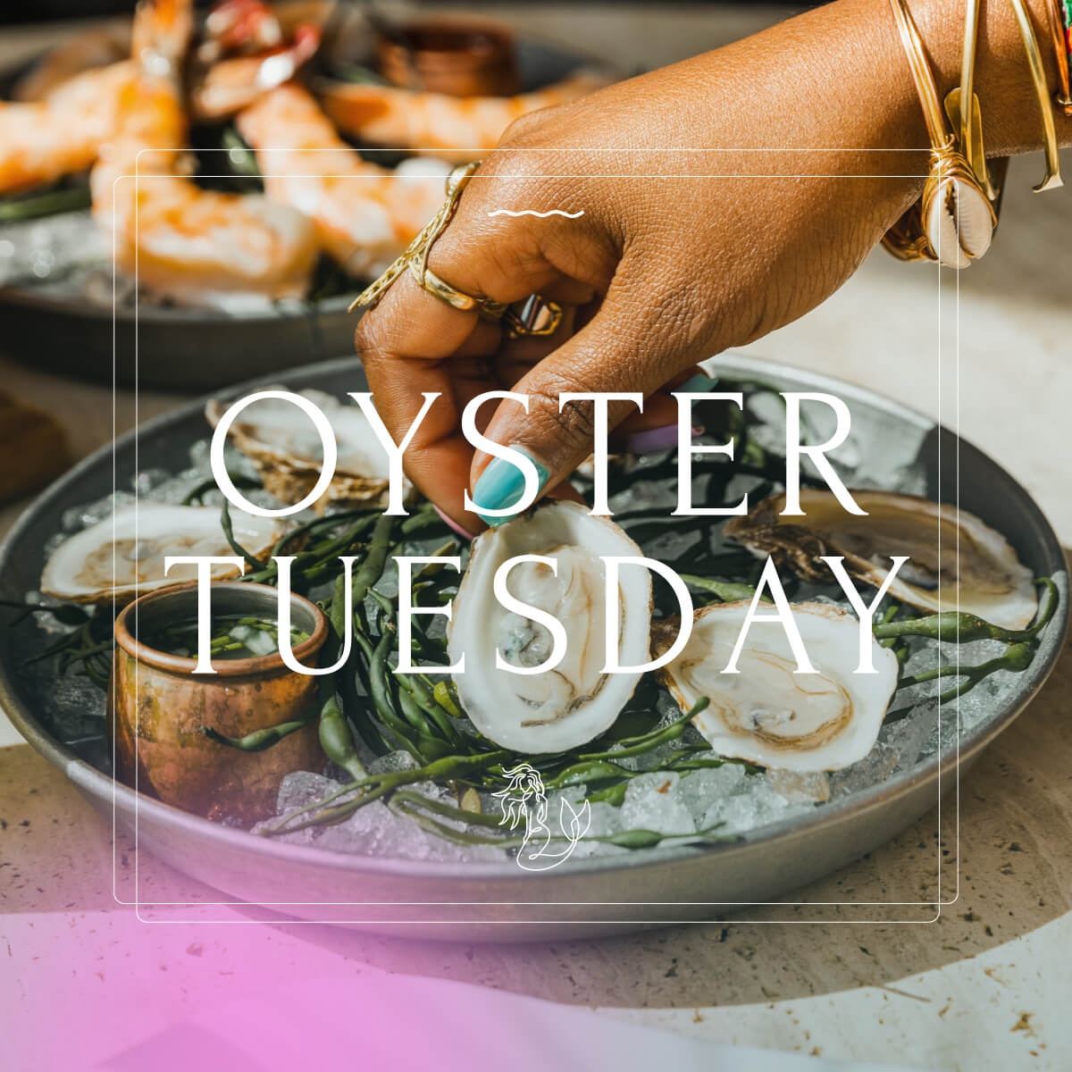 Oyster Tuesday at Rooftop L.O.A.